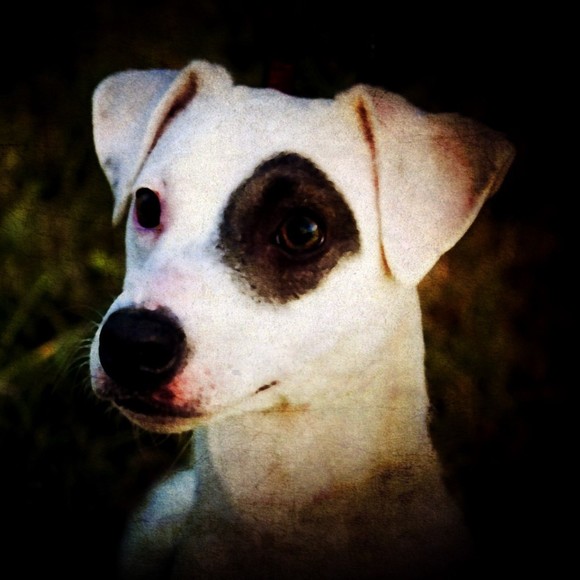 Meet the Posher Other - Meet your Posher, Kristi